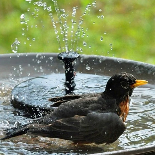 Floating Solar Fountain Pump with Four Interchangeable Nozzles for Birdbaths and Ponds