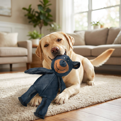 Bear Dog Toy with Squeaker and Reinforced Nylon Rubber, Machine Washable