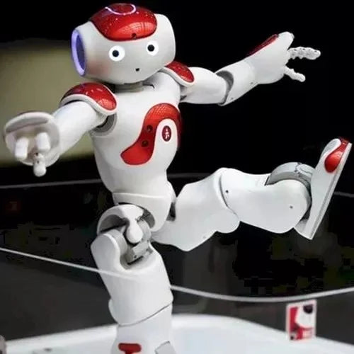 Interactive Humanoid Robot with 25 Degrees of Freedom and Dual Cameras, Remote Control