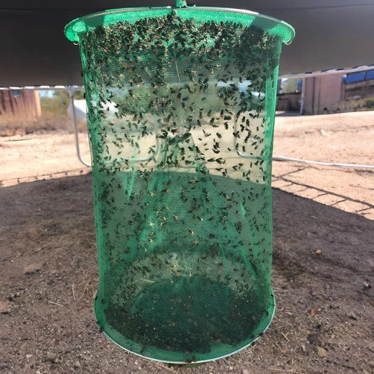Hanging Fly Trap with Expandable Chamber and Bait Packets for Outdoor Yards