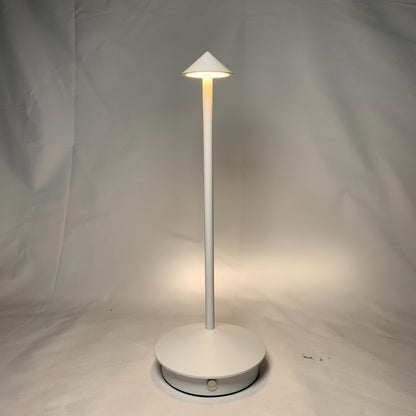 Rechargeable LED Table Lamp with Touch Control and Three Color Temperatures