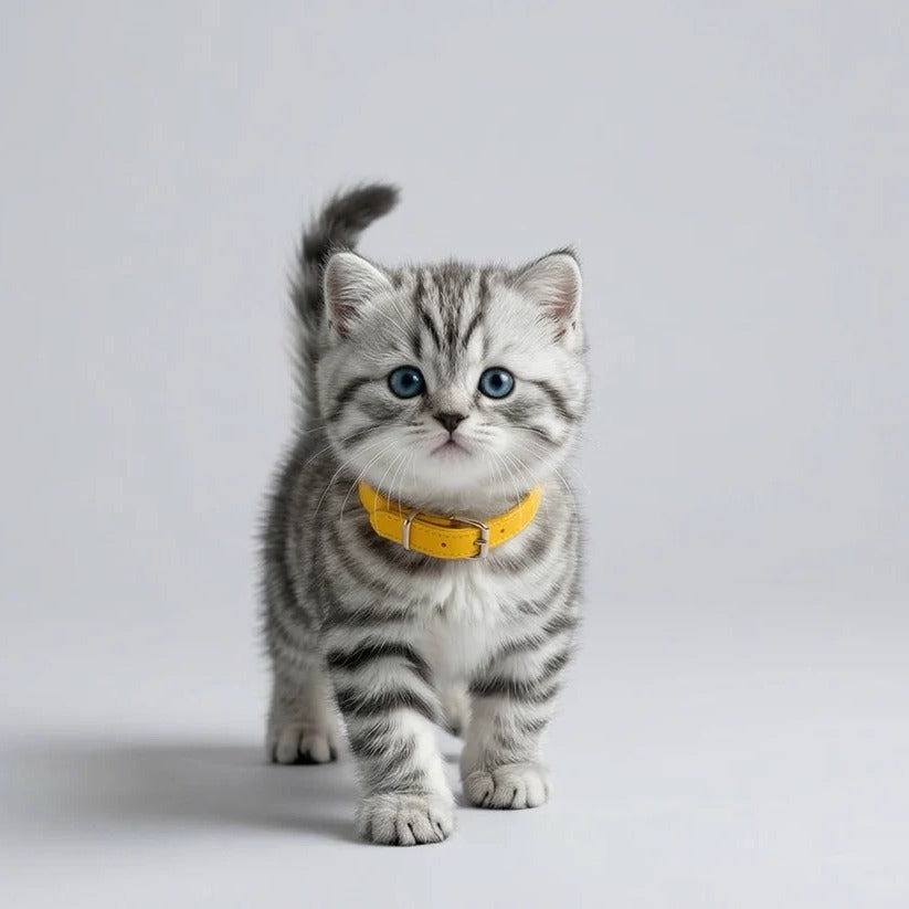 Interactive Robot Kitten with Walking Motion and Sound Sensors for Kids Ages 3+