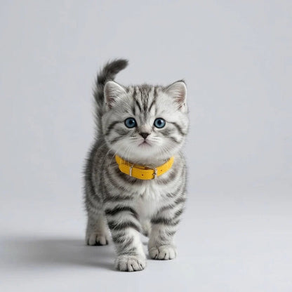 Interactive Robot Kitten with Walking Motion and Sound Sensors for Kids Ages 3+