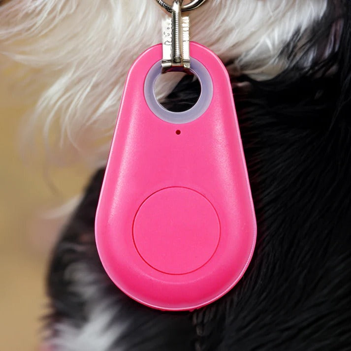 Wireless Pet Tracker with 33-Foot Range and Safe Zone Alerts