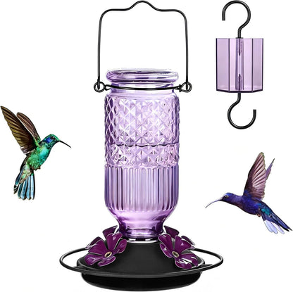 Hummingbird Feeder with Bee Guard Ports and Built-In Ant Moat, 16oz Glass