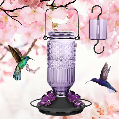 Hummingbird Feeder with Bee Guard Ports and Built-In Ant Moat, 16oz Glass