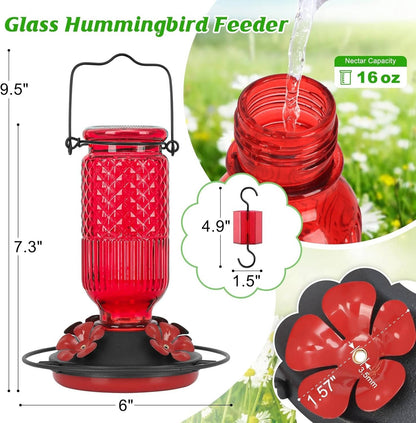 Hummingbird Feeder with Bee Guard Ports and Built-In Ant Moat, 16oz Glass