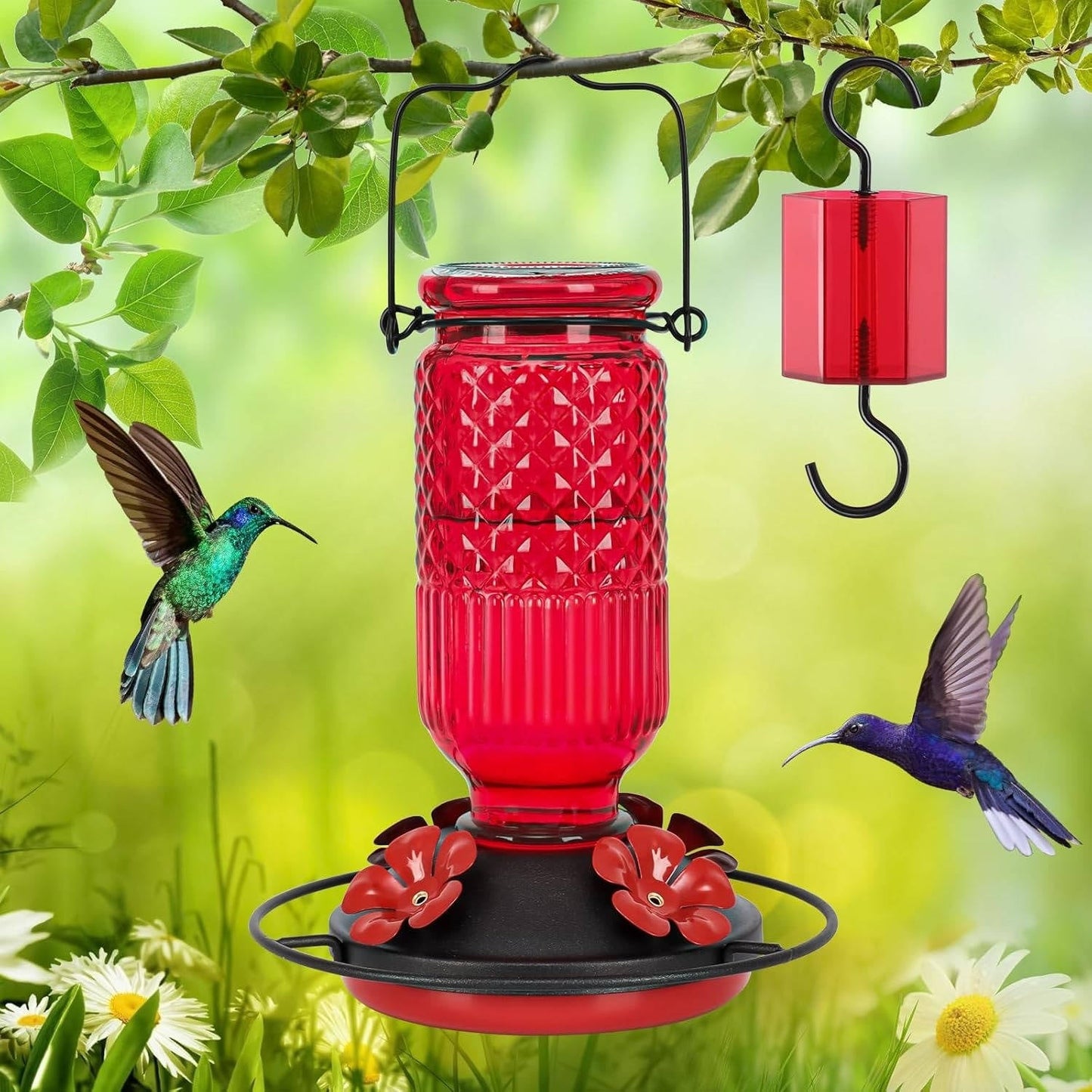 Hummingbird Feeder with Bee Guard Ports and Built-In Ant Moat, 16oz Glass