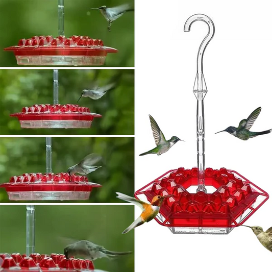 Hummingbird Feeder with Ant Moat and Bee-Resistant Diamond Ports, 12oz Capacity
