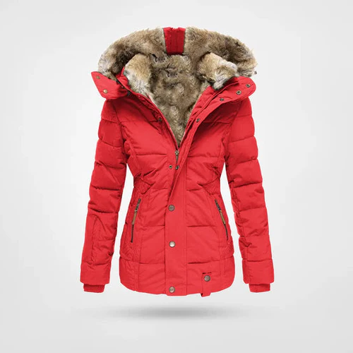 Winter Coat With Insulated Lining, Waterproof Shell And Attached Hood