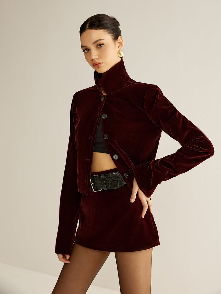 Polyester Velvet Top with Long Sleeves and Hip Length for Work and Events